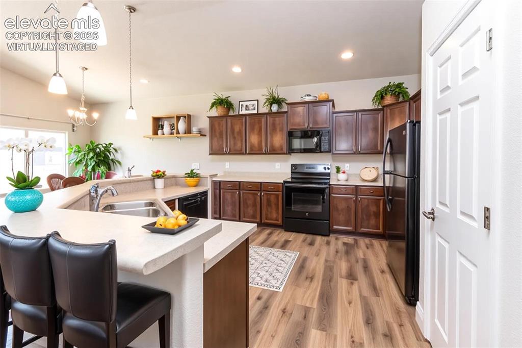 7489 Alpine Daisy Drive Colorado Springs CO 80925