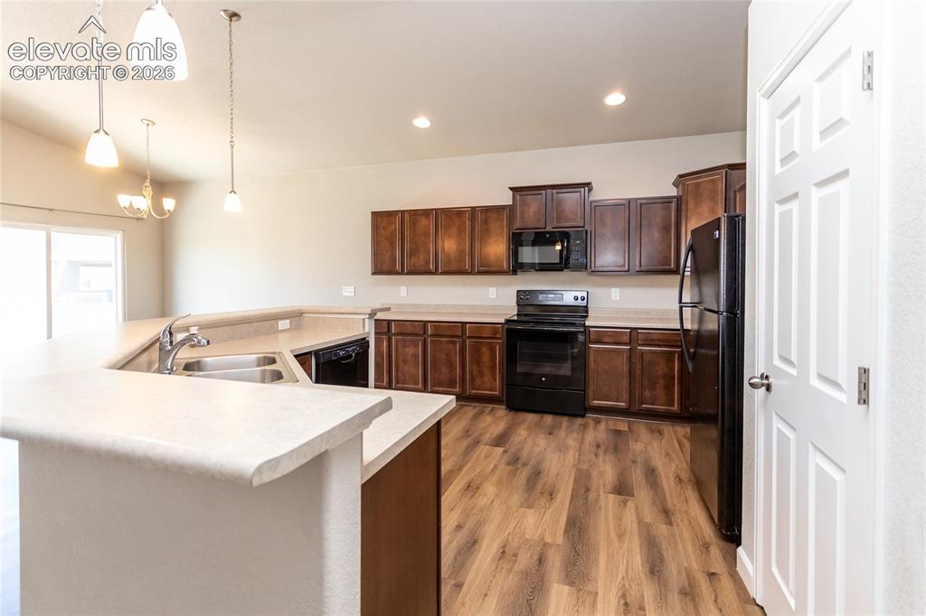 7489 Alpine Daisy Drive Colorado Springs CO 80925