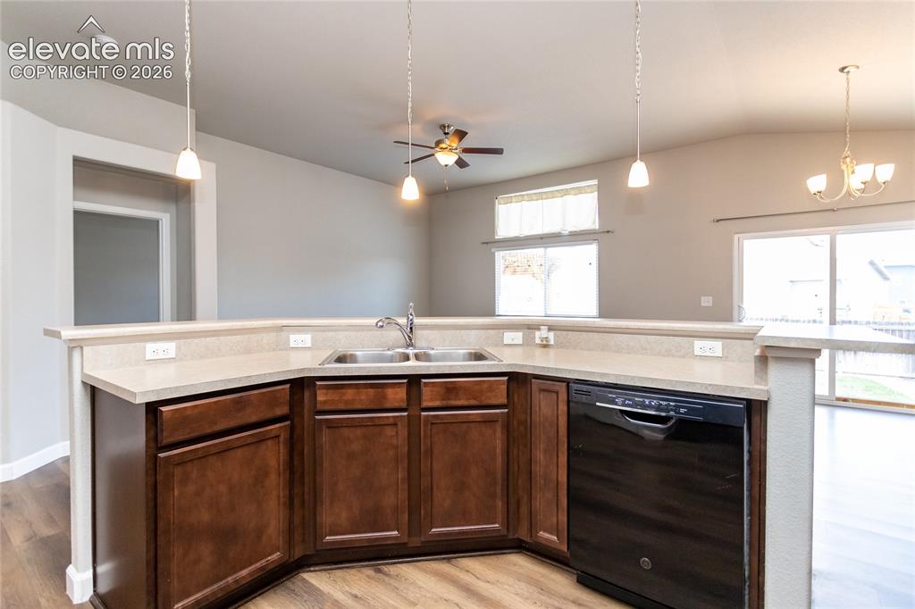 7489 Alpine Daisy Drive Colorado Springs CO 80925