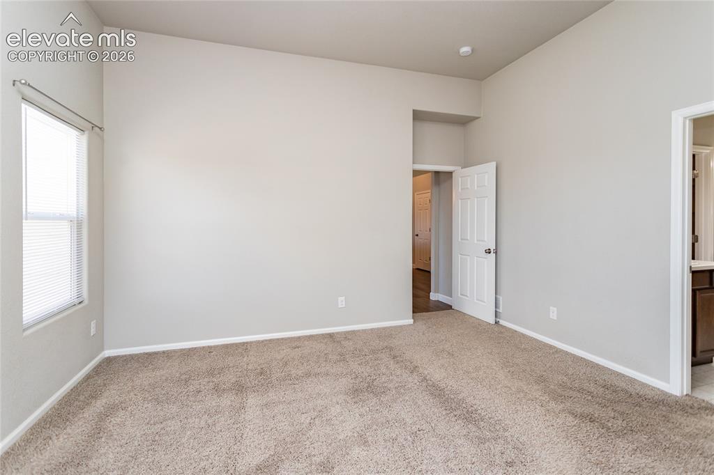 7489 Alpine Daisy Drive Colorado Springs CO 80925