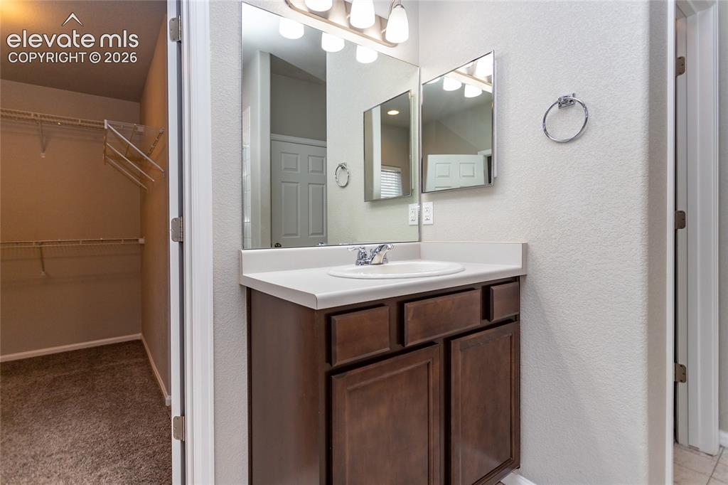 7489 Alpine Daisy Drive Colorado Springs CO 80925