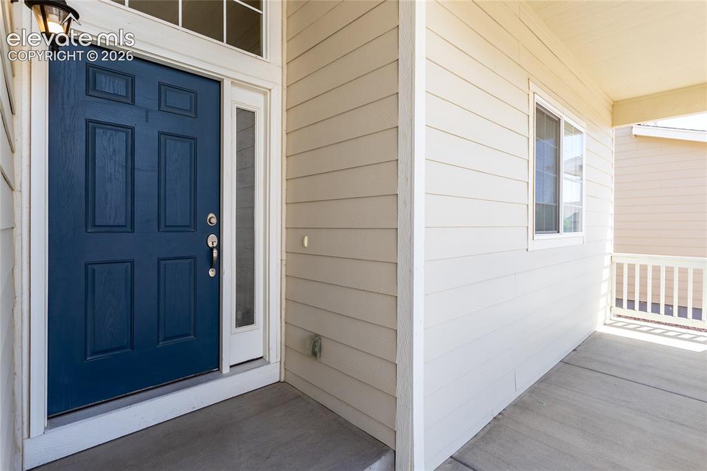 7489 Alpine Daisy Drive Colorado Springs CO 80925