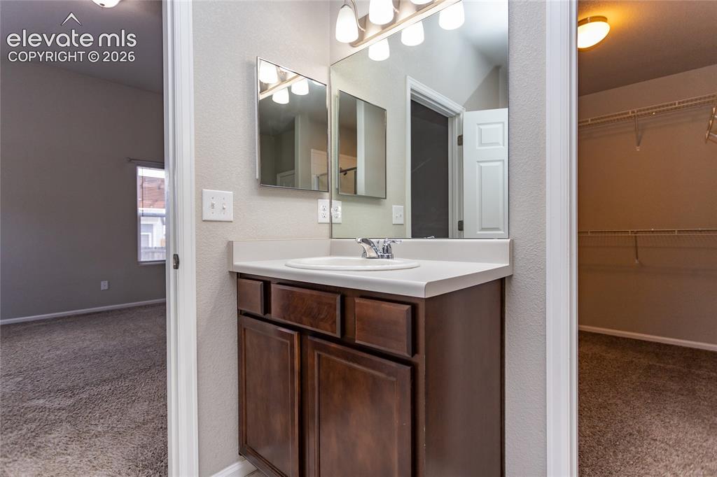 7489 Alpine Daisy Drive Colorado Springs CO 80925