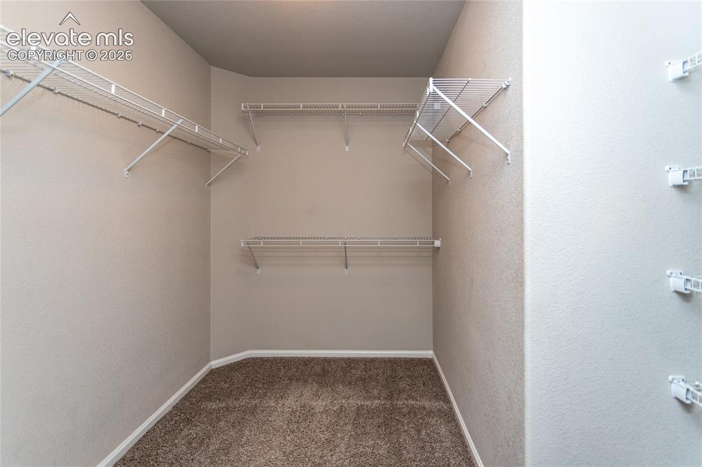 7489 Alpine Daisy Drive Colorado Springs CO 80925