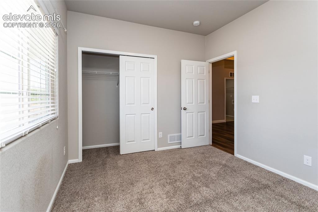 7489 Alpine Daisy Drive Colorado Springs CO 80925