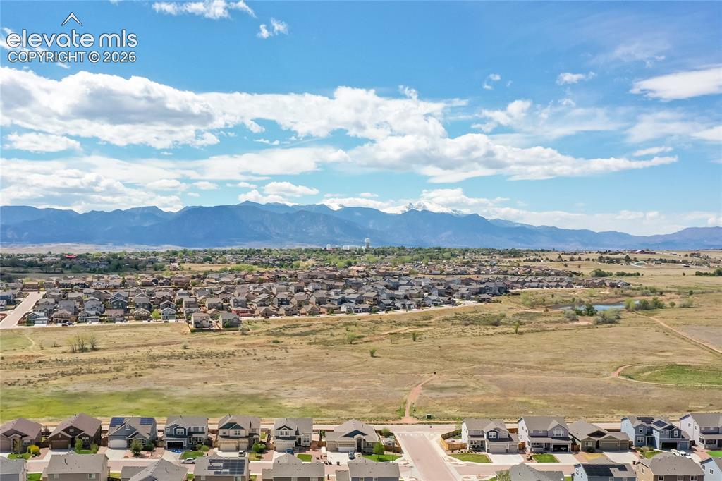 7489 Alpine Daisy Drive Colorado Springs CO 80925
