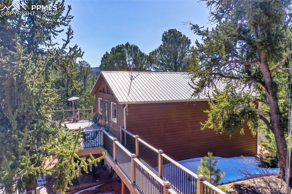 493 Horseshoe Drive Divide CO 80814