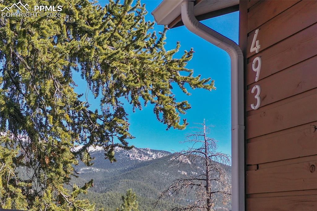 493 Horseshoe Drive Divide CO 80814