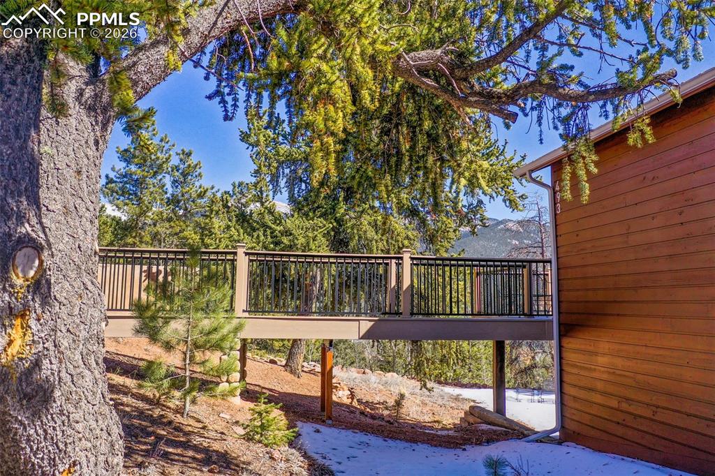 493 Horseshoe Drive Divide CO 80814