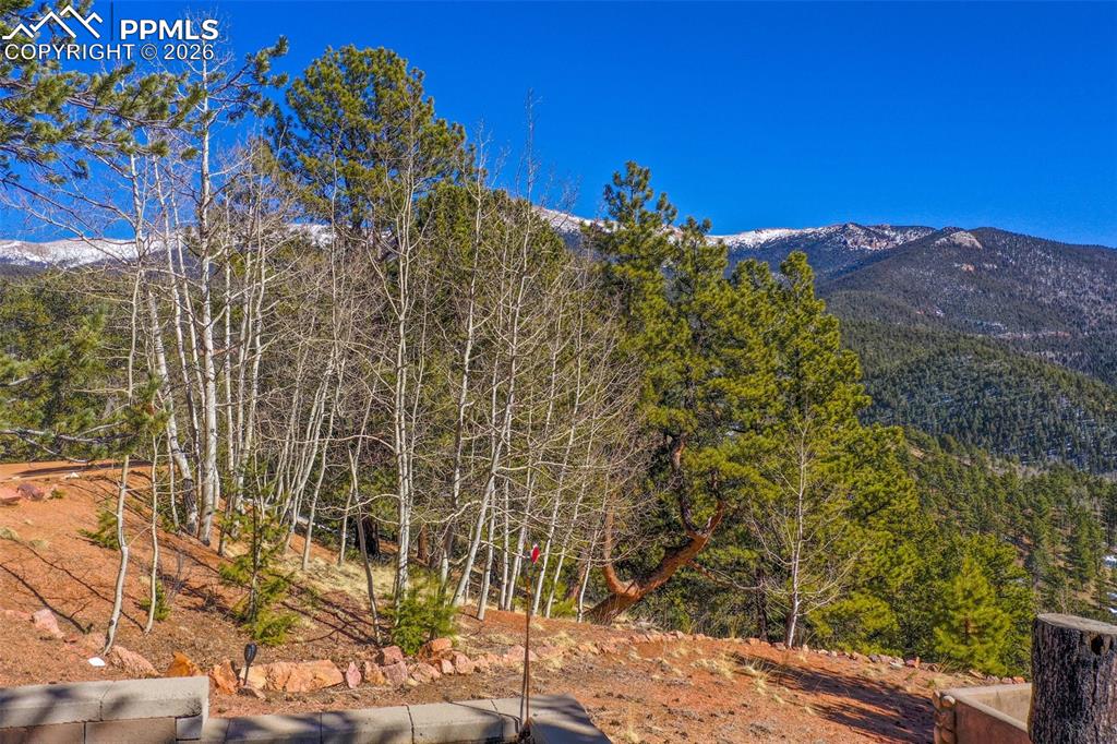 493 Horseshoe Drive Divide CO 80814
