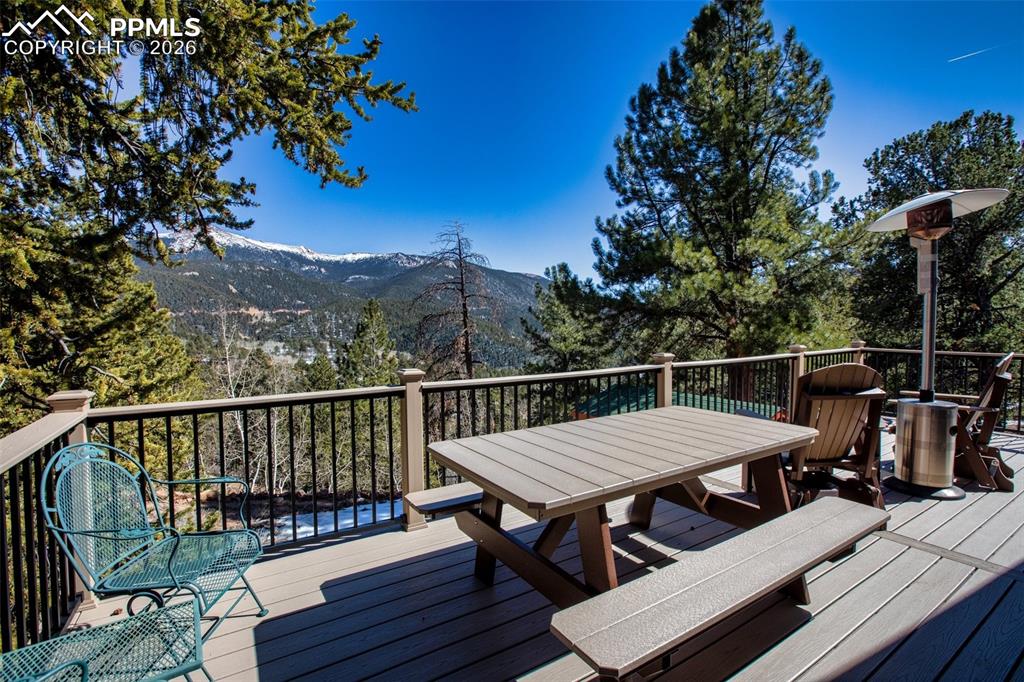 493 Horseshoe Drive Divide CO 80814