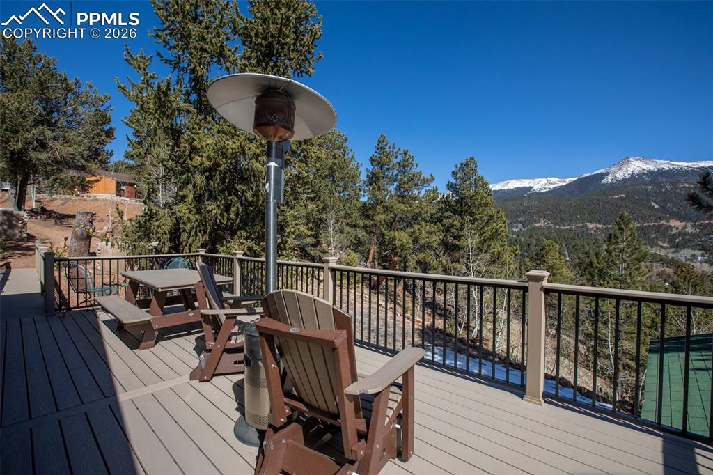 493 Horseshoe Drive Divide CO 80814