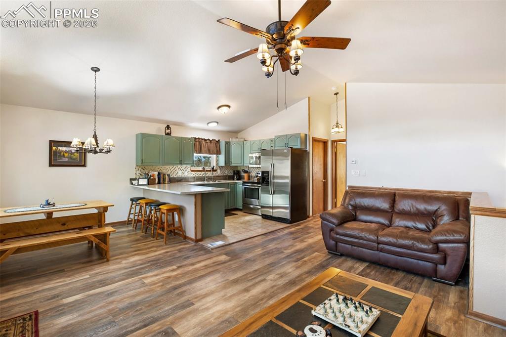 493 Horseshoe Drive Divide CO 80814