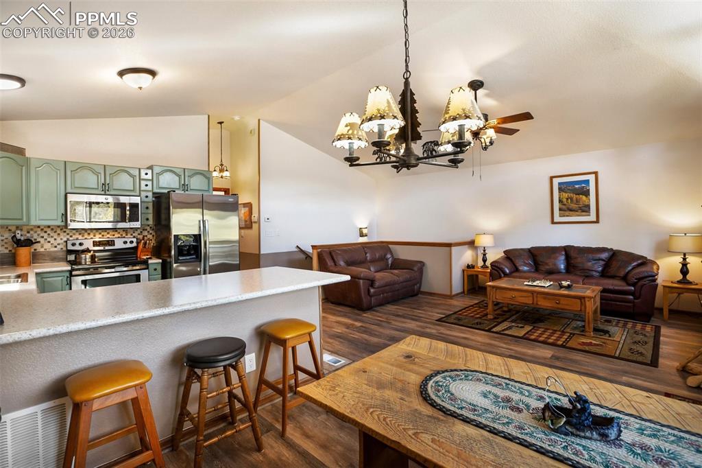 493 Horseshoe Drive Divide CO 80814