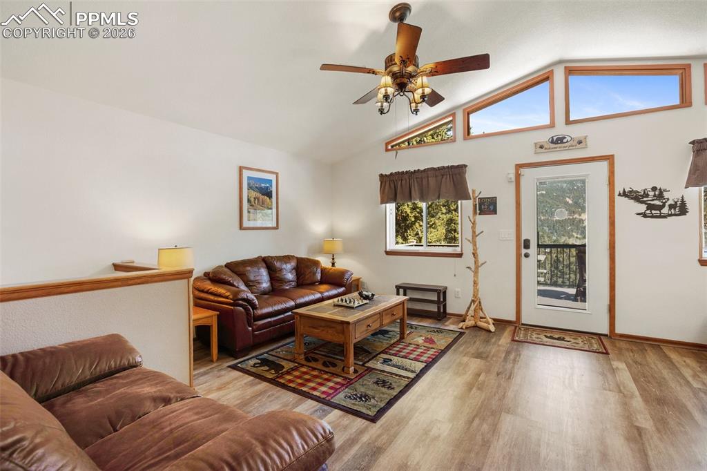 493 Horseshoe Drive Divide CO 80814