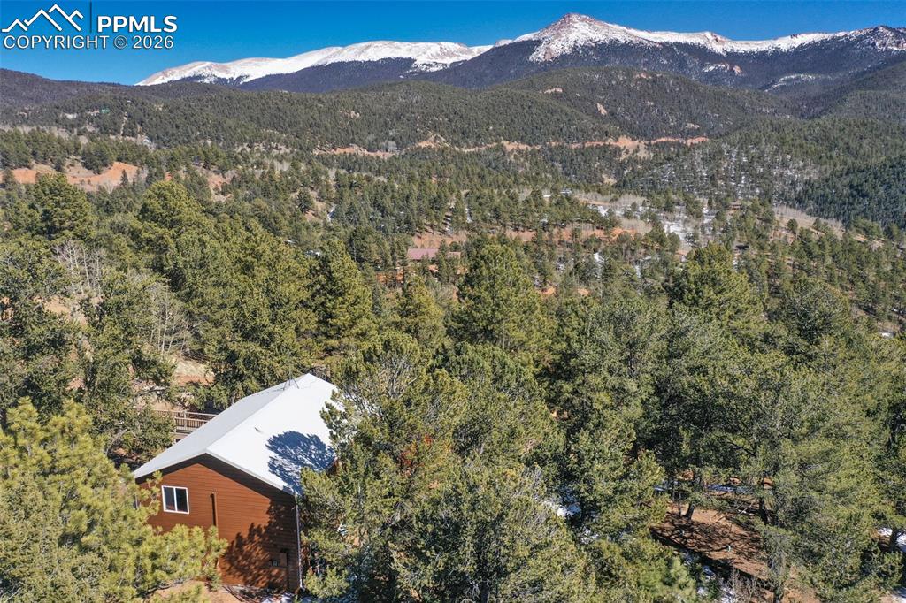 493 Horseshoe Drive Divide CO 80814