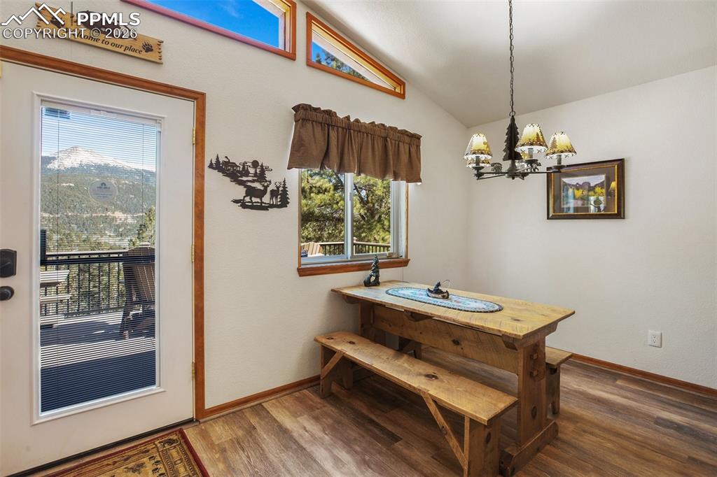 493 Horseshoe Drive Divide CO 80814