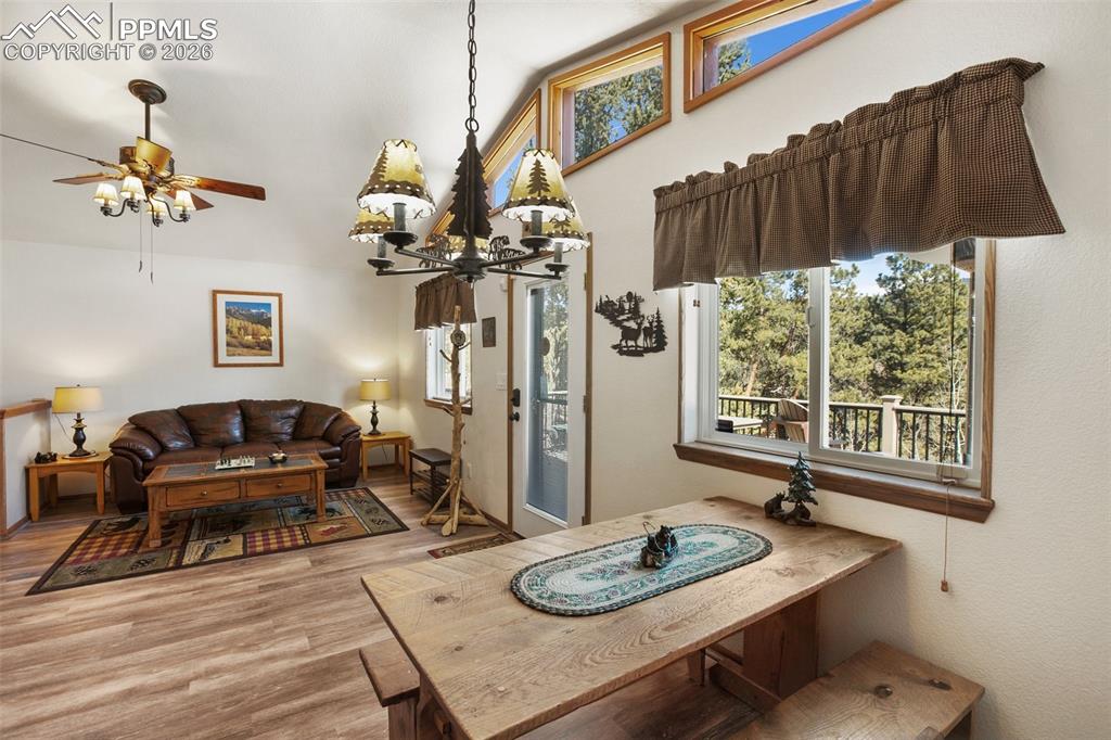 493 Horseshoe Drive Divide CO 80814