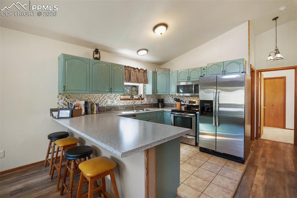 493 Horseshoe Drive Divide CO 80814