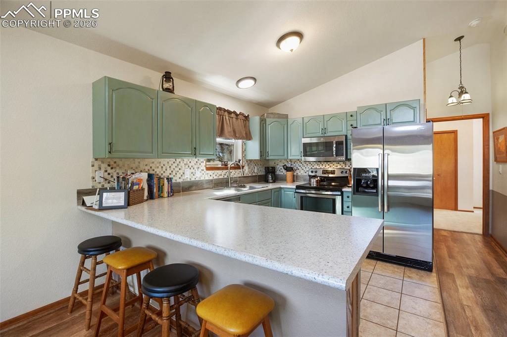 493 Horseshoe Drive Divide CO 80814