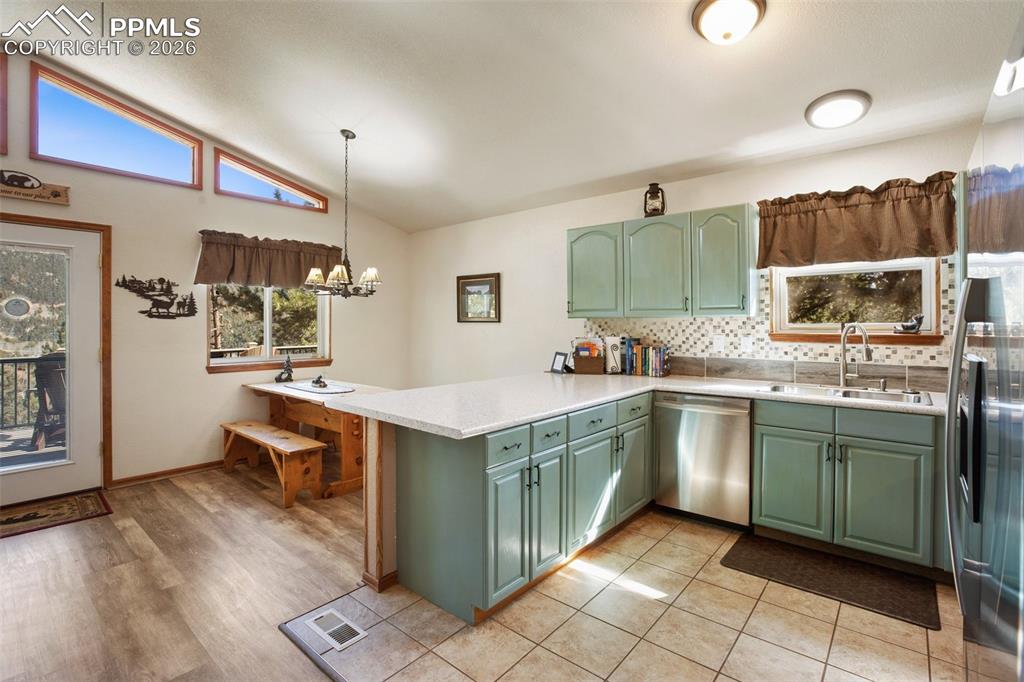 493 Horseshoe Drive Divide CO 80814