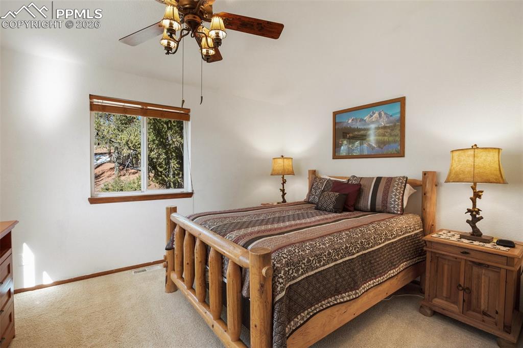 493 Horseshoe Drive Divide CO 80814