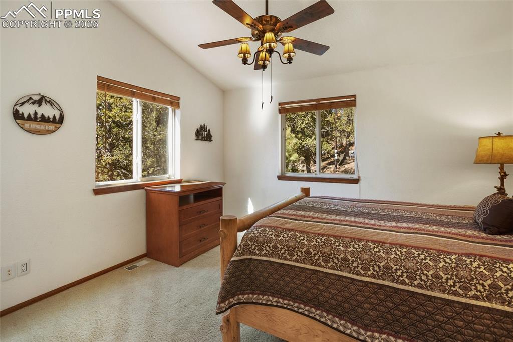 493 Horseshoe Drive Divide CO 80814