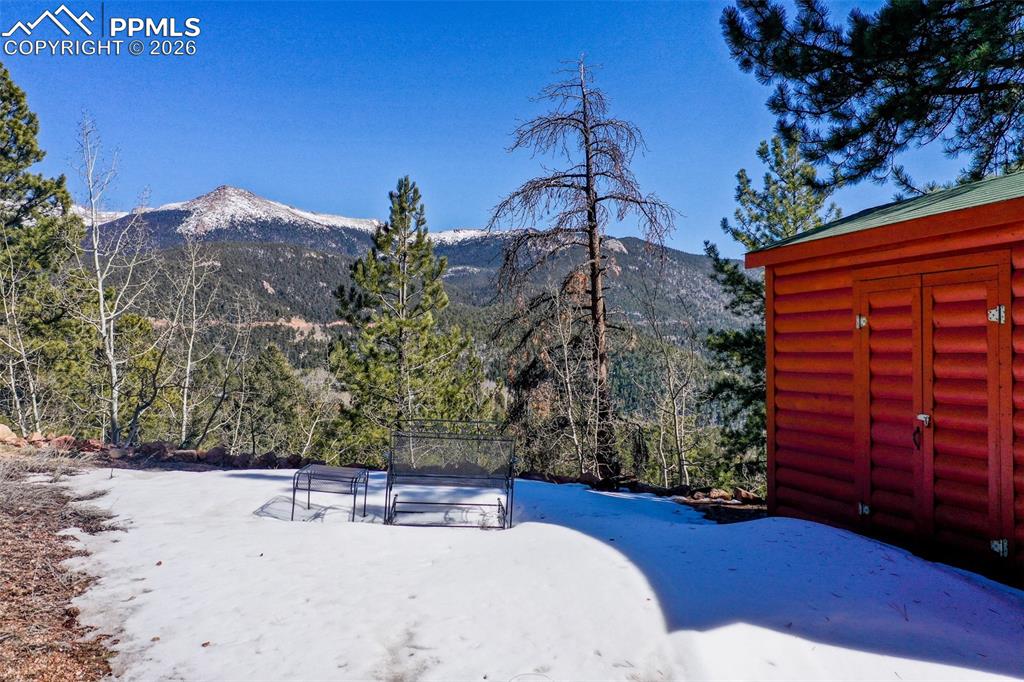493 Horseshoe Drive Divide CO 80814