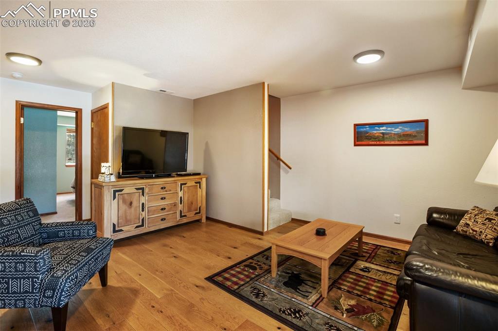 493 Horseshoe Drive Divide CO 80814