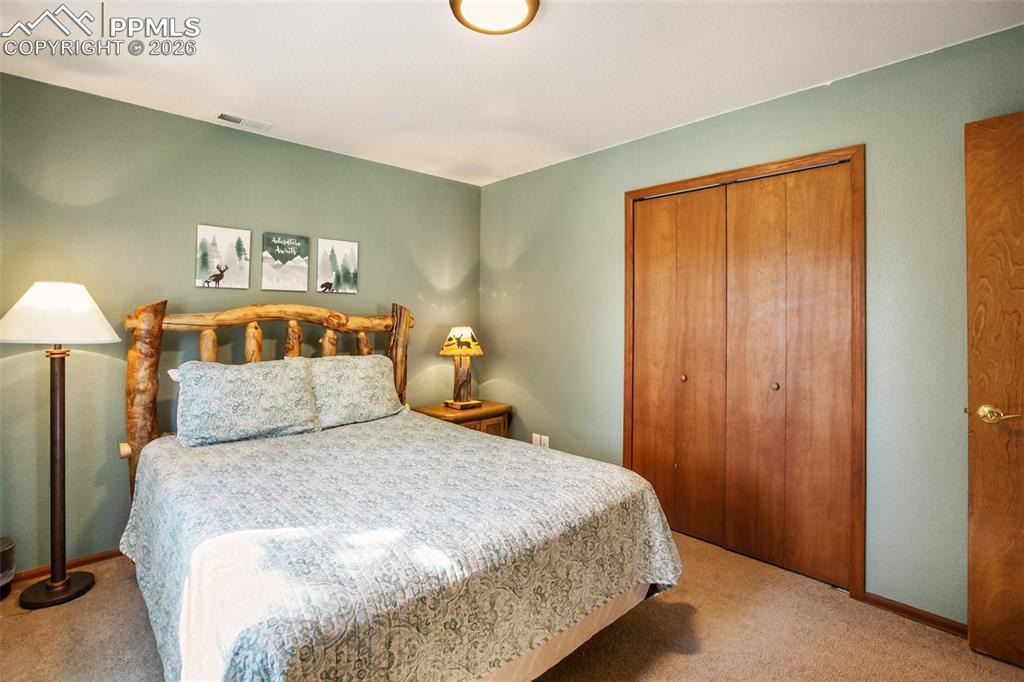 493 Horseshoe Drive Divide CO 80814