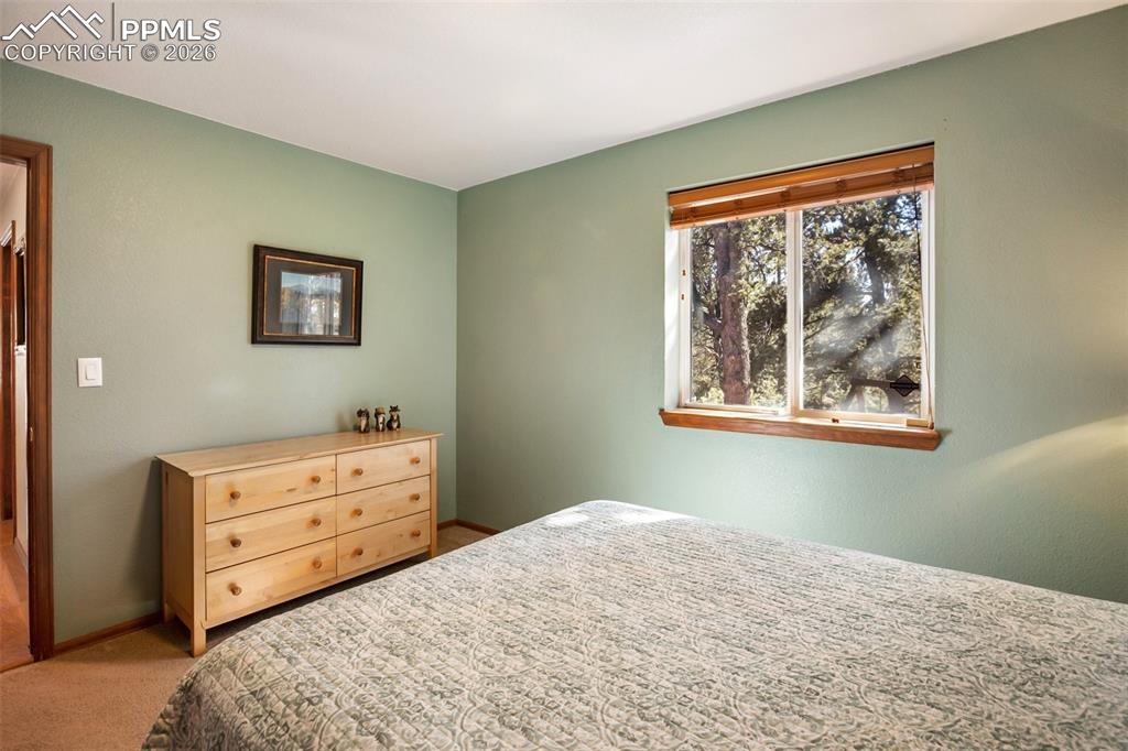 493 Horseshoe Drive Divide CO 80814