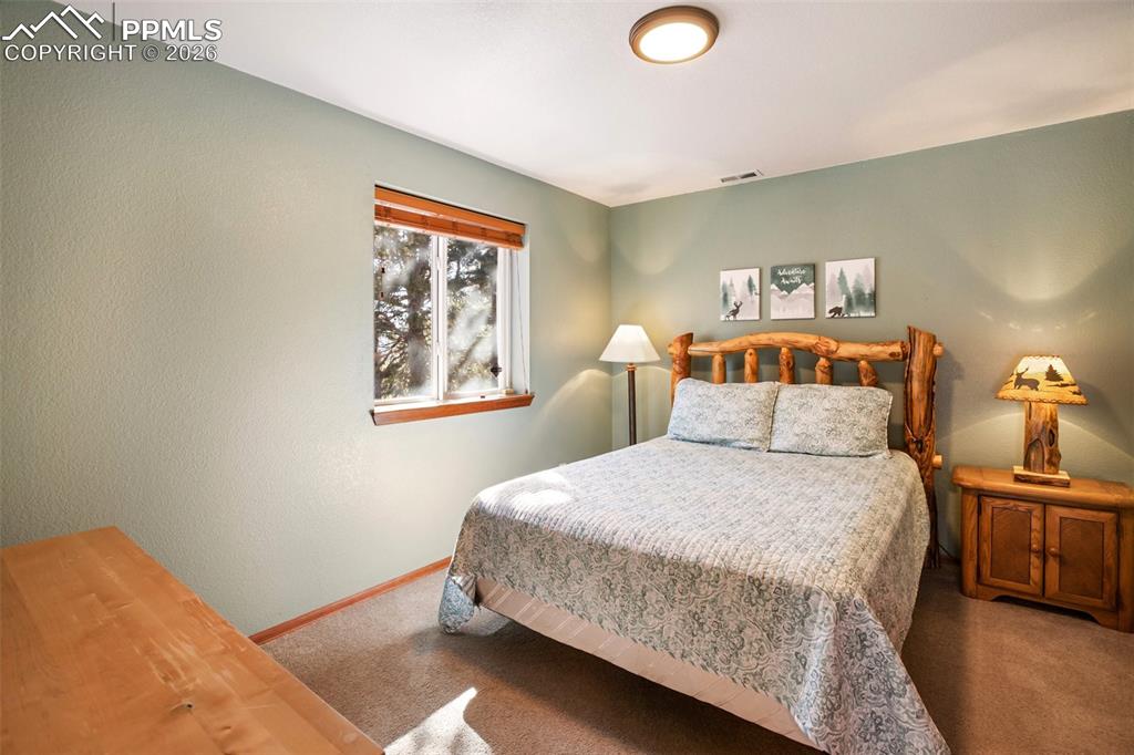 493 Horseshoe Drive Divide CO 80814