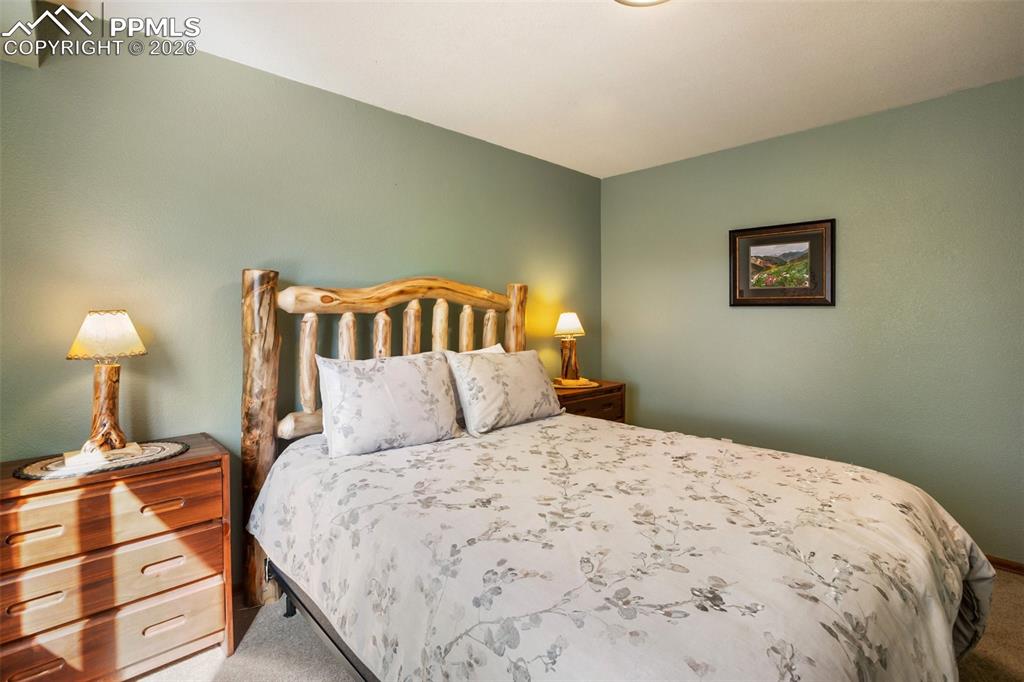 493 Horseshoe Drive Divide CO 80814