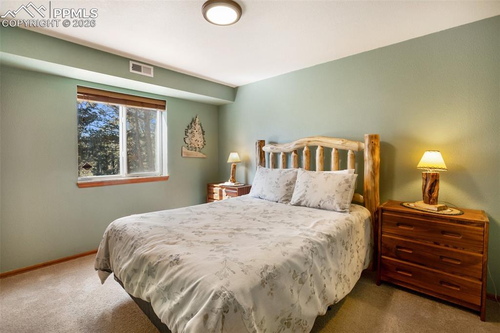 493 Horseshoe Drive Divide CO 80814