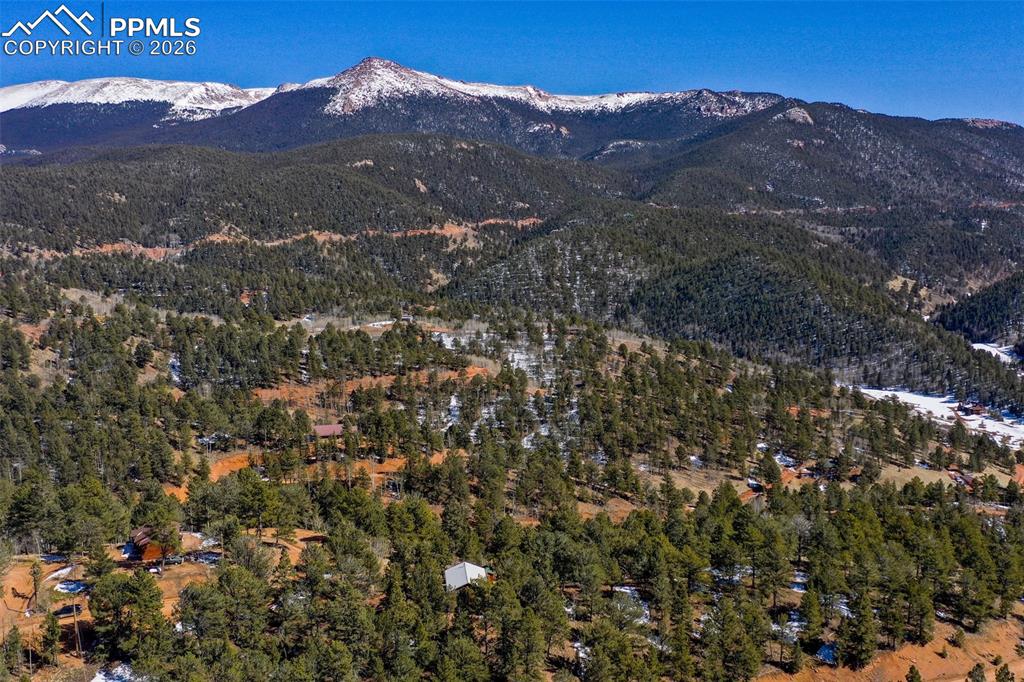 493 Horseshoe Drive Divide CO 80814