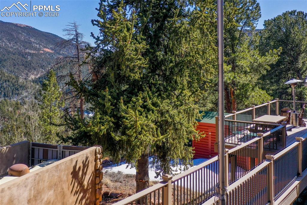 493 Horseshoe Drive Divide CO 80814