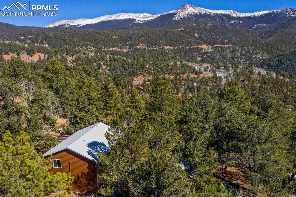 493 Horseshoe Drive Divide CO 80814