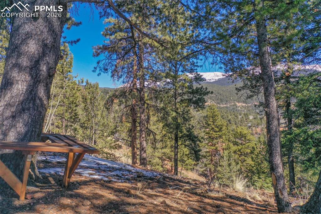 493 Horseshoe Drive Divide CO 80814