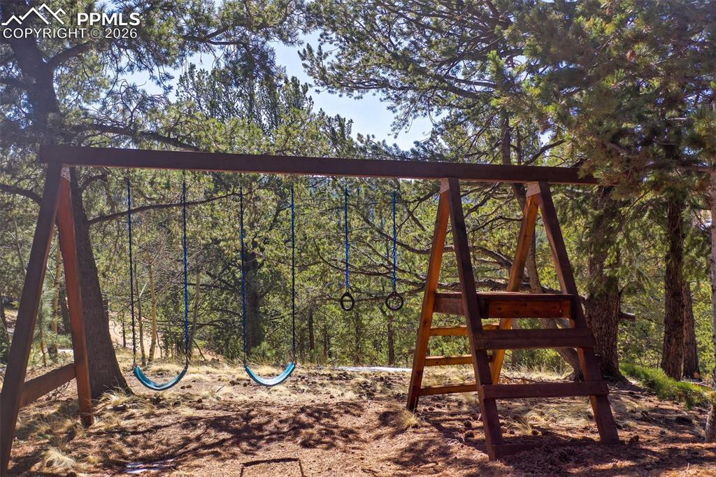 493 Horseshoe Drive Divide CO 80814