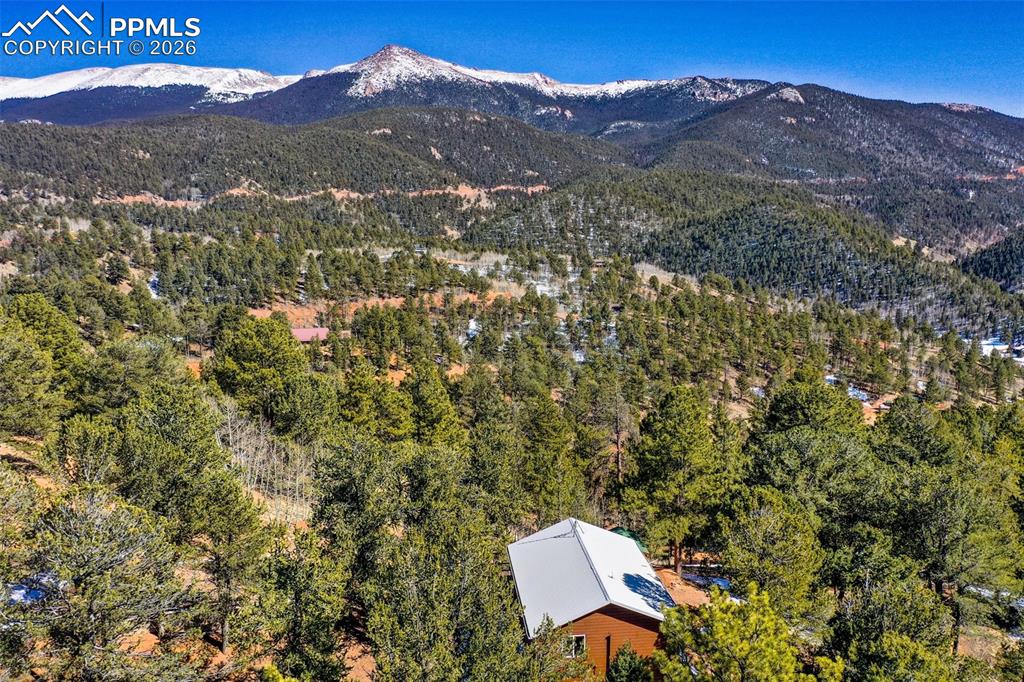 493 Horseshoe Drive Divide CO 80814