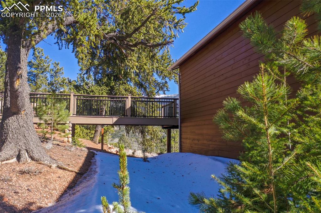 493 Horseshoe Drive Divide CO 80814