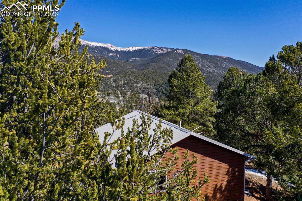 493 Horseshoe Drive Divide CO 80814