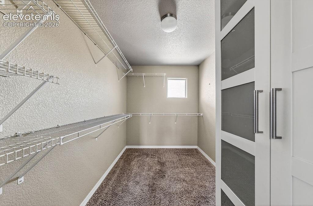 3976 Reindeer Circle Colorado Springs CO 80922