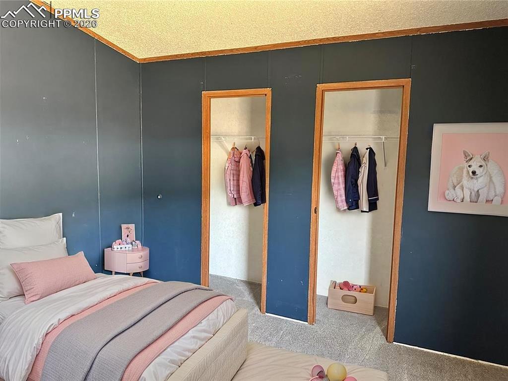 103 Mojave Way Fountain CO 80817