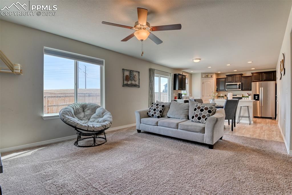 6719 Skuna Drive Colorado Springs CO 80925