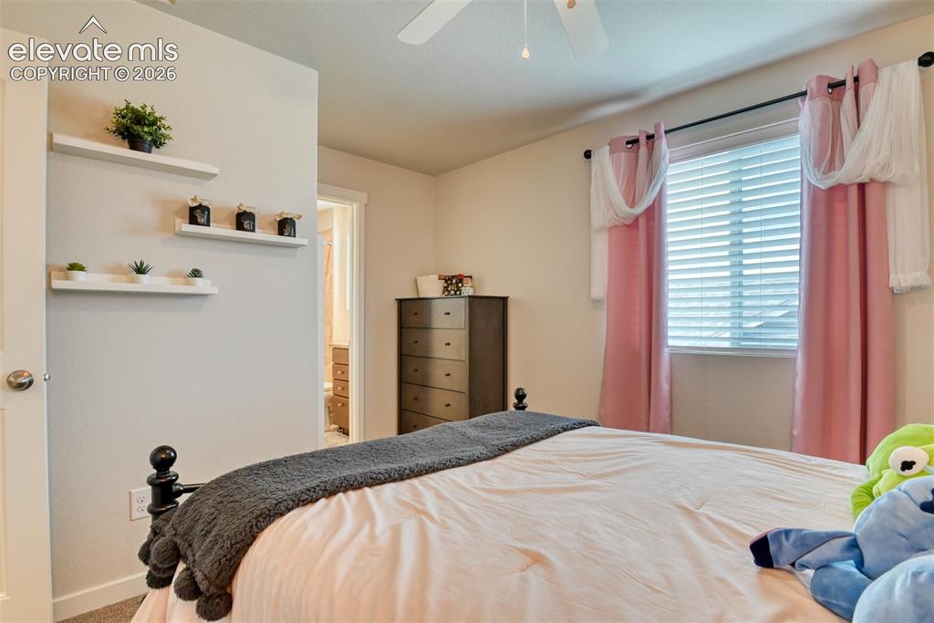 3298 Golden Meadow Way Colorado Springs CO 80908