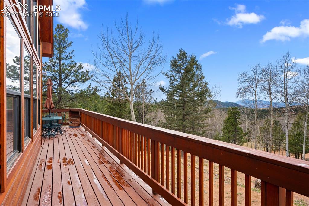 1122 Bennett Drive Cripple Creek CO 80813
