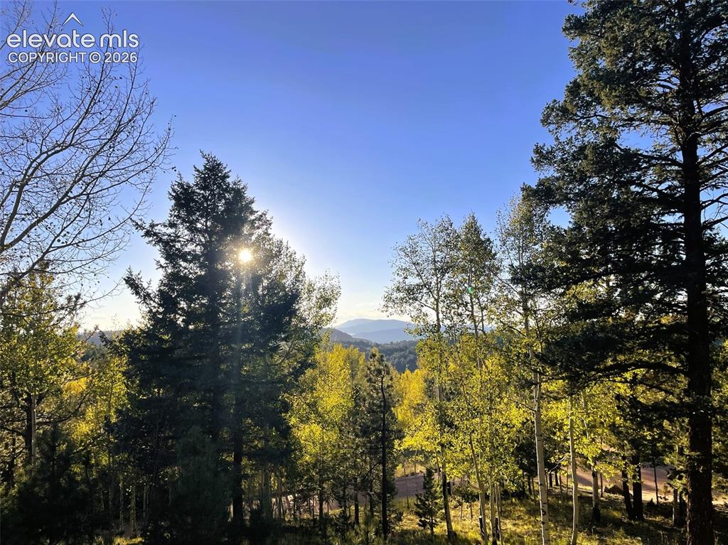1122 Bennett Drive Cripple Creek CO 80813