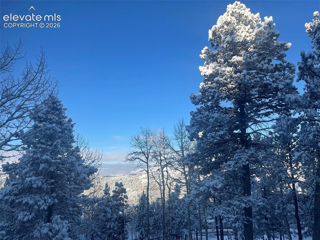 1122 Bennett Drive Cripple Creek CO 80813
