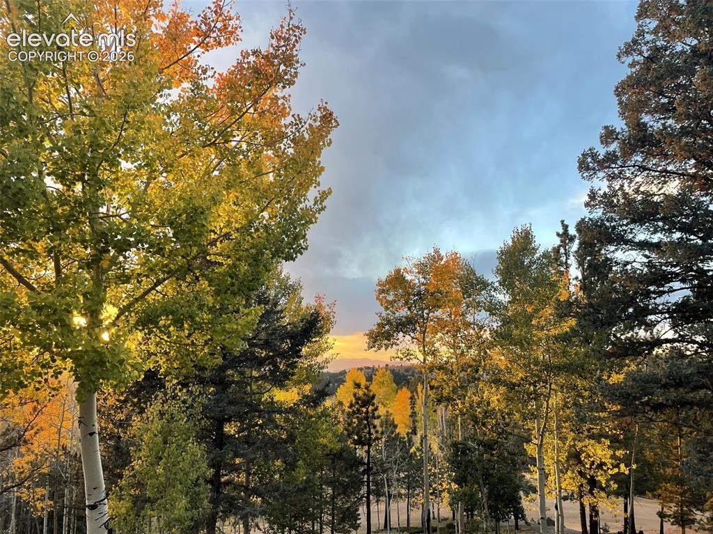 1122 Bennett Drive Cripple Creek CO 80813